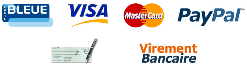 Moyens de paiements visionalis 1
