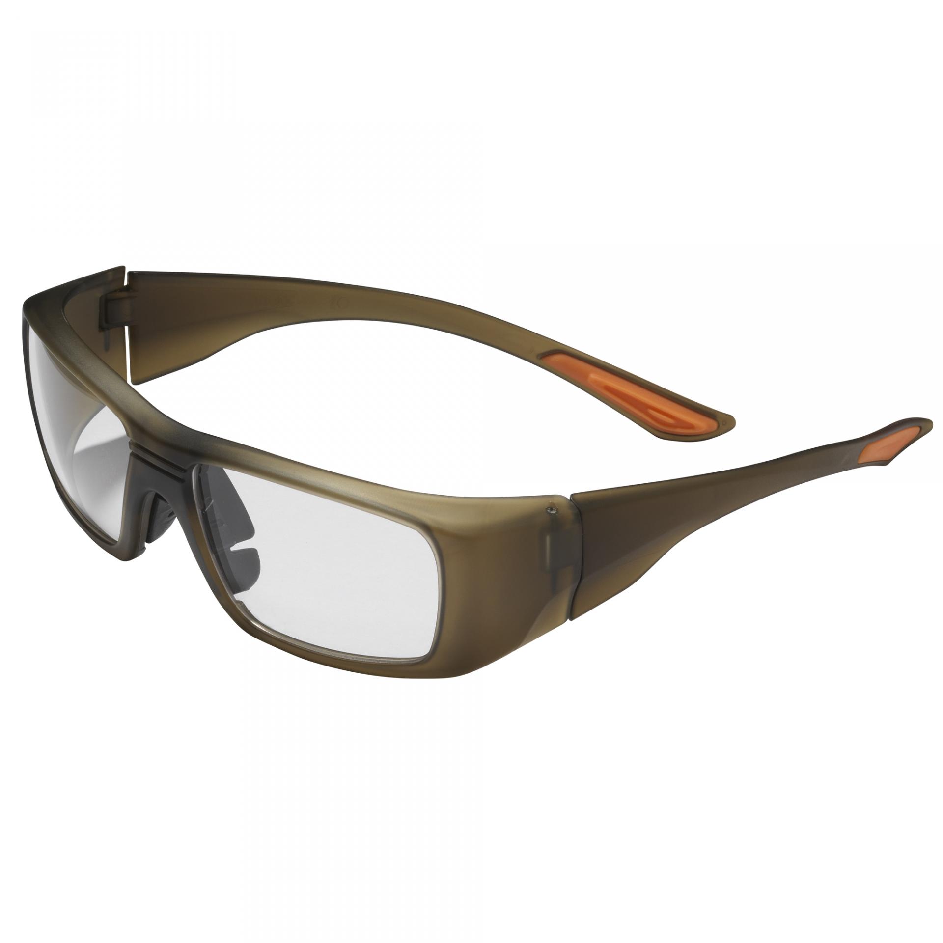 lunettes de protection à la vue EVO200 (1matttbrownclearlens )