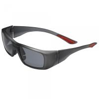 Lunettes de sécurité à la vue EVO200 (1matttgreysmokehclens)