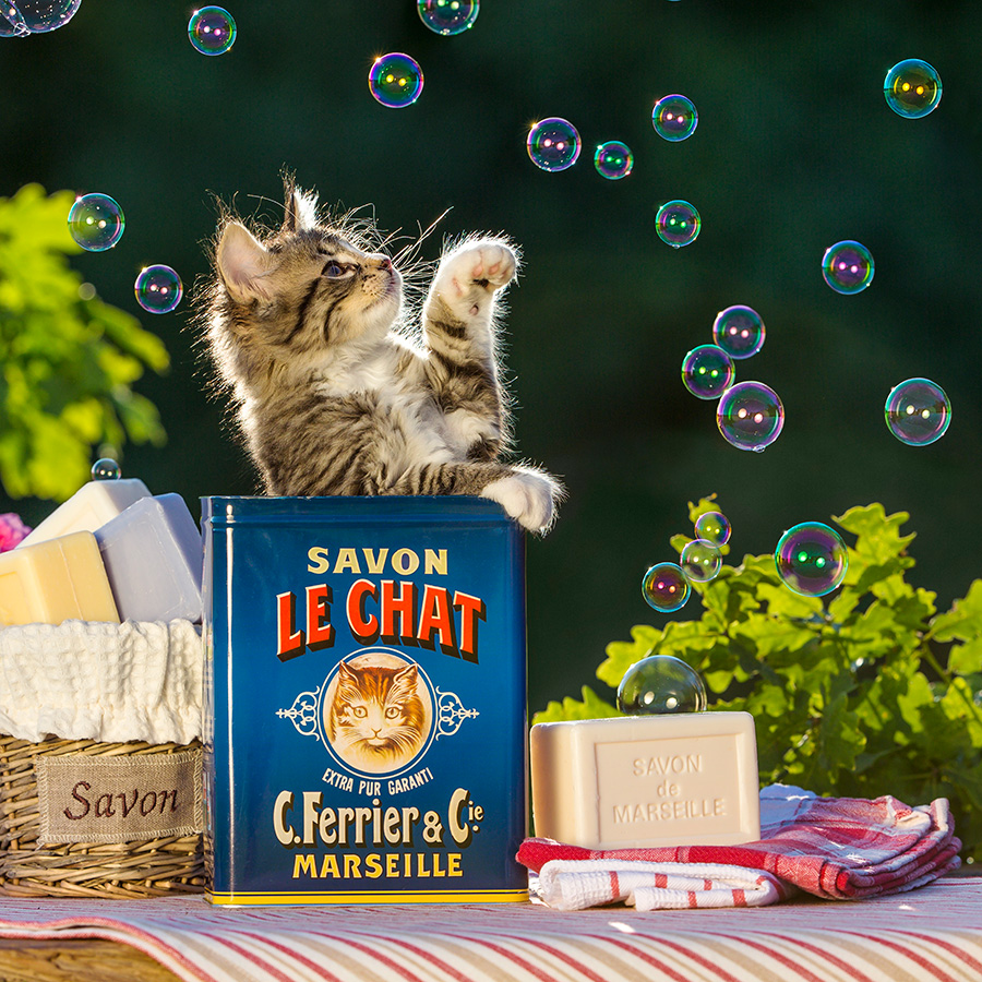 Chatons 5382 kit015