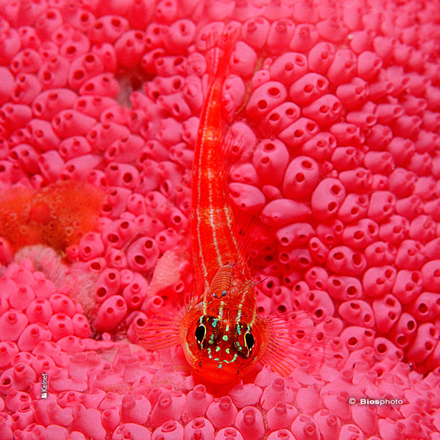 Collec couleurs aquatiques 2 4719 aqua201