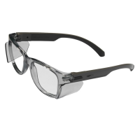 Lunettes de protection a la vue evo 100 swiss one