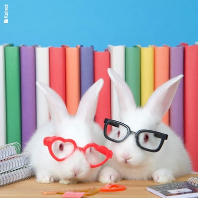 Microfibre lunettes animaux rigolo anim11 1