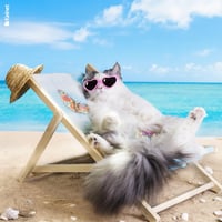 Microfibre lunettes animaux rigolo anim21 1