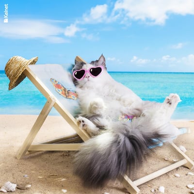 Microfibre lunettes animaux rigolo anim21 1